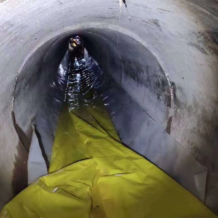 天等管道光固化修复